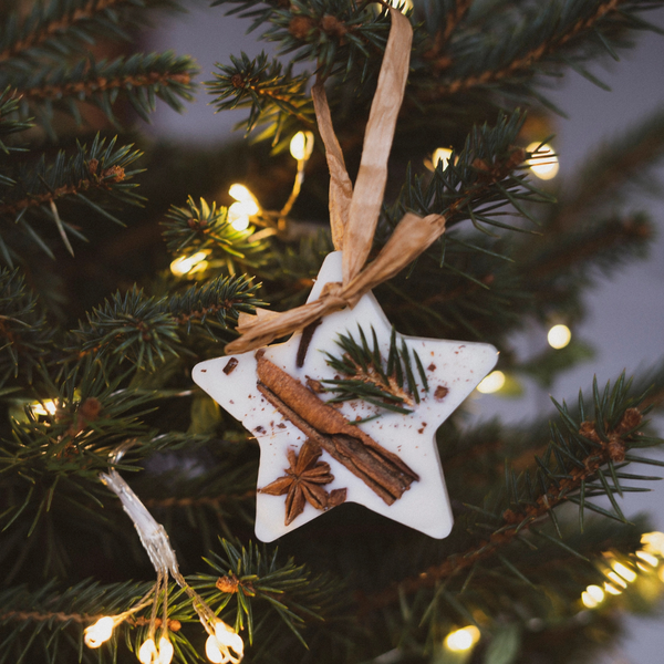 Cranberry, Orange & Cinnamon Christmas Tree Decoration